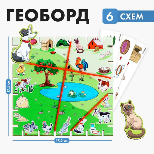 Геоборд с заданиями Ферма с предсказанием