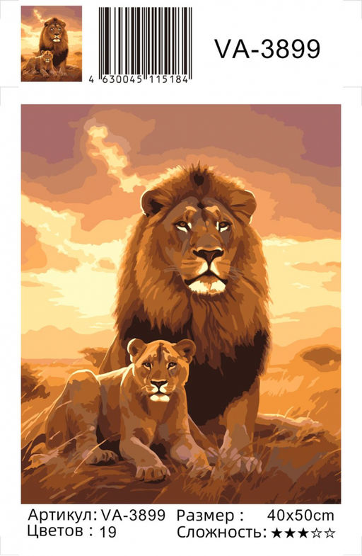Картина по номерам на холсте и подрамнике 40х50 см