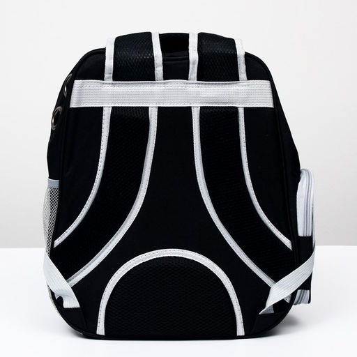 Рюкзак для переноски животных Котик, прозрачный, 34 х 25 х 40 см, чёрный - Пижон фото 4