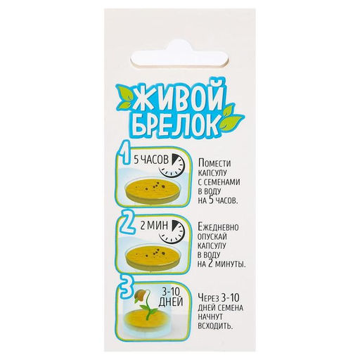 Набор для опытов Живой брелок - Эврики фото 3