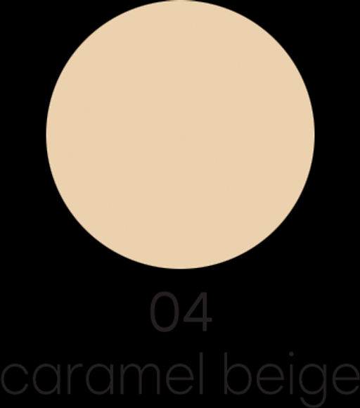Alvin Dor PD-11 Пудра компактная Daily Peach Skin 10г тон 04 caramel beige
