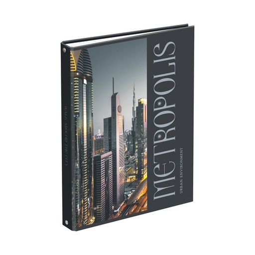 Тетрадь А4, 160л. на кольцах "Мегаполис", сменный блок (ТТ4к160_лм 11357, "BG") матов. ламинация