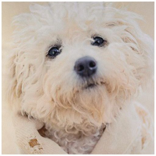 НАВОЛОЧКА 35*35 СМ, 100% П/Э, ТКАНЬ, ПЕЧАТЬ - Lefard фото 2