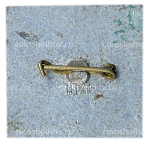 Значок Раубичи