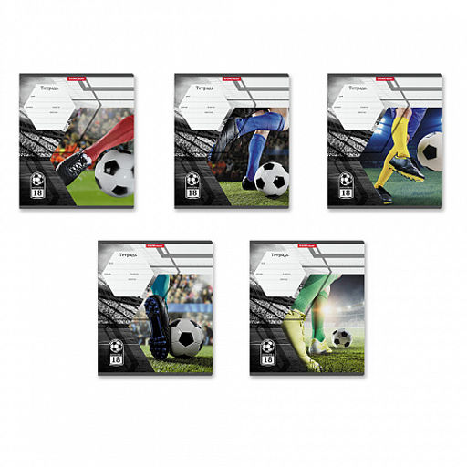 Цена за 200 шт. Тетрадь школьная ученическая ErichKrause Dribbling, 18 листов, клетка (в плёнке по 10 шт.)  фото 13