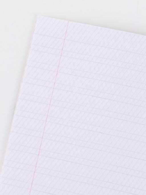 Цена за 20 шт. Тетрадь 12 листов, частая косая линейка "Подружки"