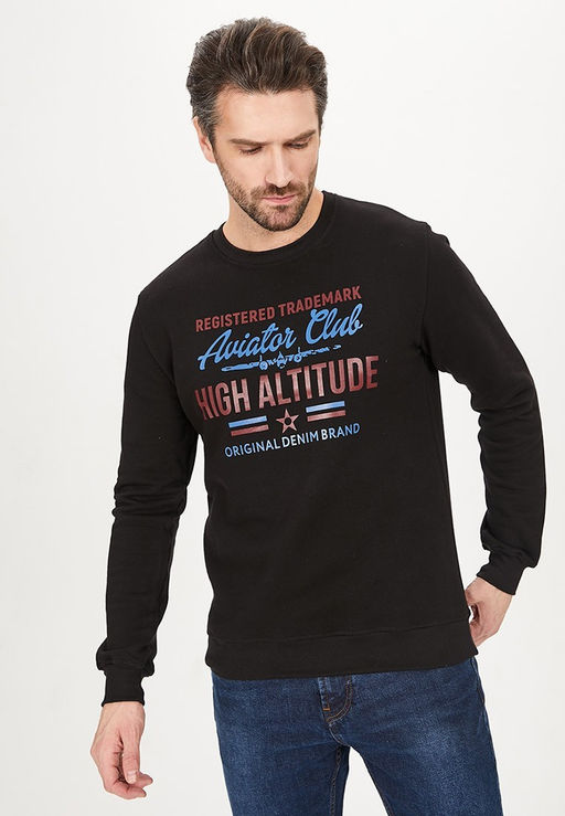 Свитшот мужской GREG G121-Aviator (чёрный)