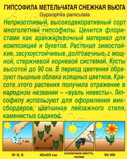 Гипсофила Снежная вьюга махровая 0,05г (Аэлита)