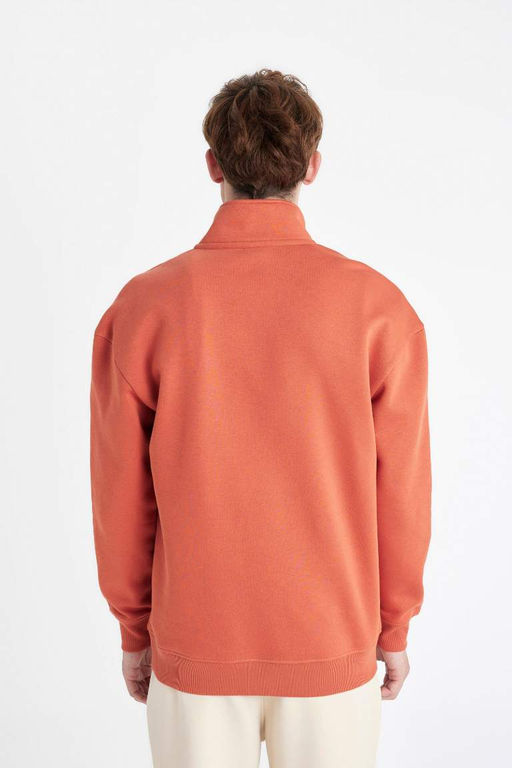 Мужская комфортная толстовка обычного кроя на молнии с высоким воротником и текстовым принтом - Defacto фото 6