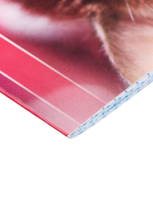 Цена за 20 шт. Блокнот А6, 40 листов в клетку на скрепке Котята и щенята, обложка мелованный картон, МИКС - Calligrata фото 7