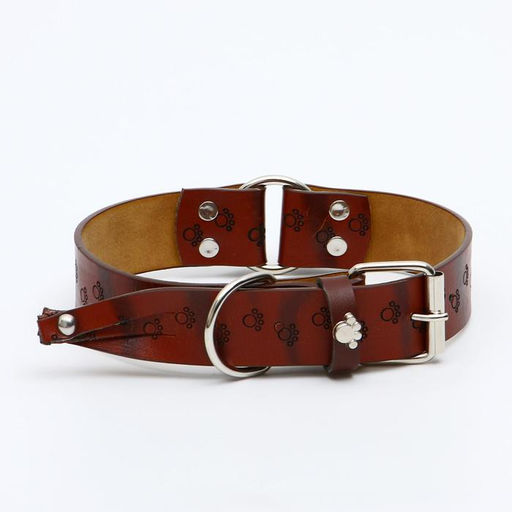 Ошейник с основой из термопластичной резины с тиснением Лапки, 58 х 2,7 см - Пижон фото 2