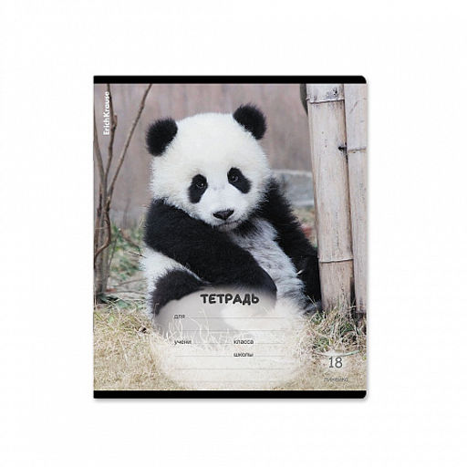 Цена за 10 шт. Тетрадь школьная ученическая ErichKrause Пушистики, 18 листов, линейка (в плёнке по 10 шт.)_MIX-PACK  фото 4