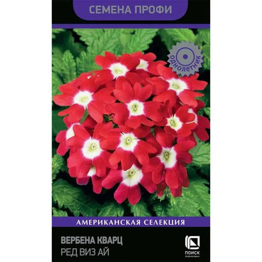 Вербена Кварц Ред виз Ай (Семена Профи) (ЦВ) (1) 10шт - Поиск фото 2