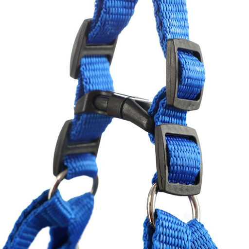 Шлейка Комфорт комбинированная, 2 см, ОШ 40-58 см, ОГ 46-60 см, синяя - Пижон фото 3