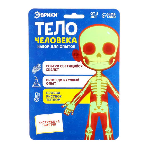 Набор для опытов Тело человека - Эврики фото 5