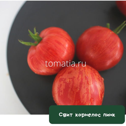 Свит Карнелос пинк - Tomatia фото 2