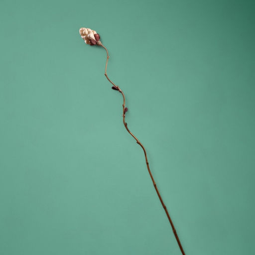 Сухоцвет на бамбуковом стебле, 150 см, белый