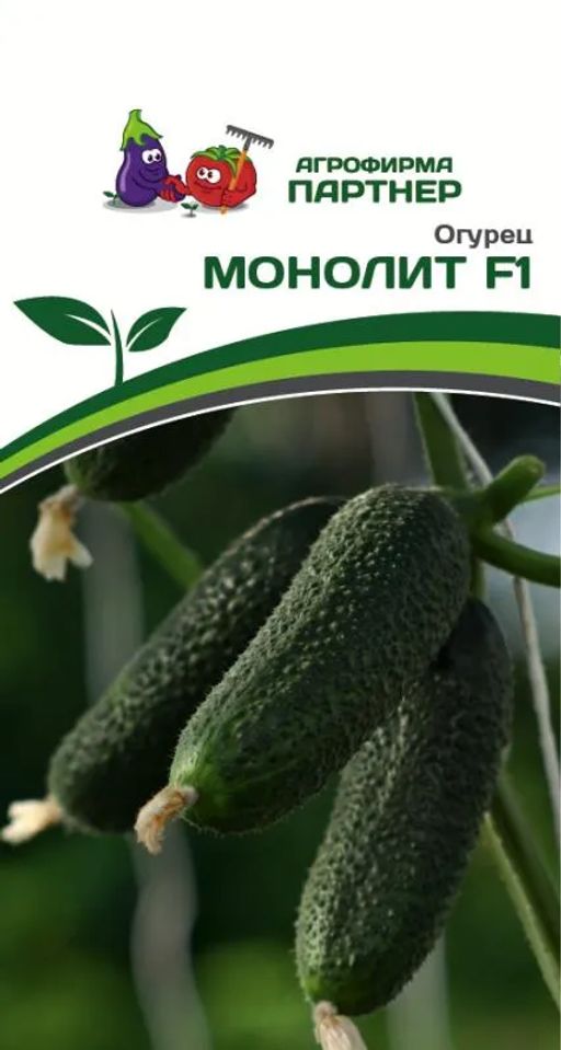 Огурец партенокарпический Монолит