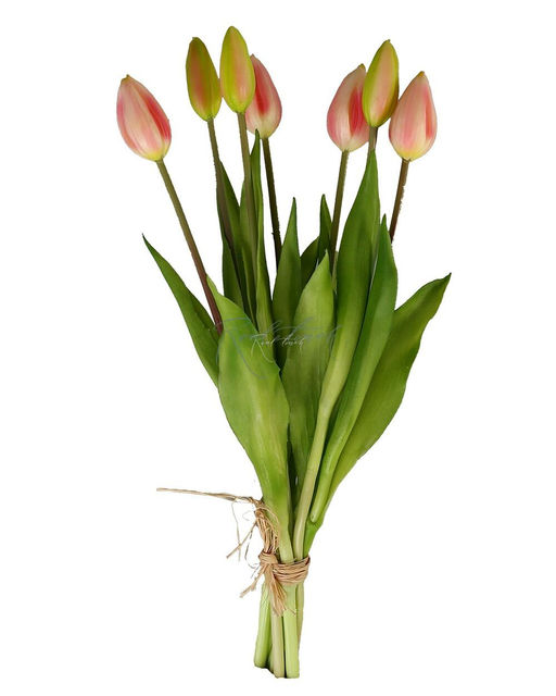 Букет закрытых тюльпанов 4+3 - Розовый