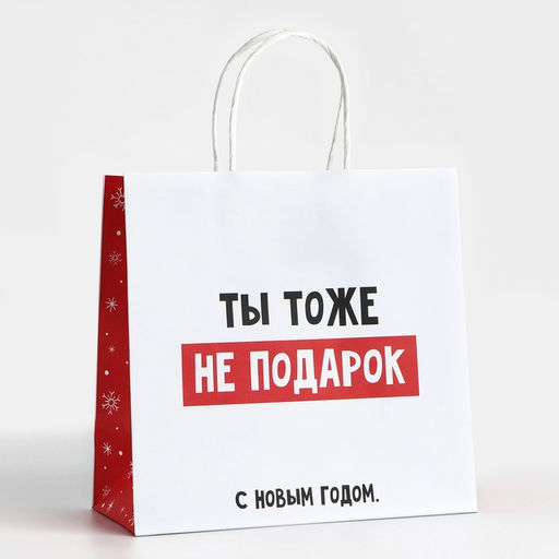 Пакет подарочный новогодний «Ты тоже не подарок», 22×22×11 см