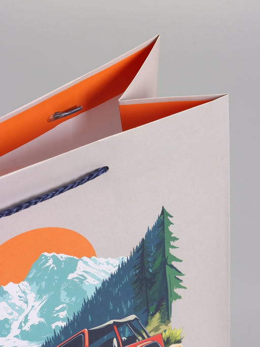 Пакет подарочный ламинированный «Путь сильных», 26×12×32 см