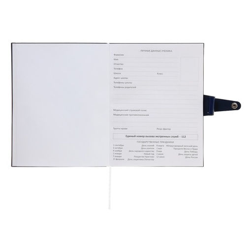 Дневник школьный для 1-11 классов Favorite, мягкая обложка, на кнопке, искусственная кожа, тиснение фольгой, хлястик, ляссе, 48 листов