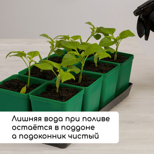 Набор для рассады: стаканы по 600 мл (8 шт.), поддон 36×18 см, цвет МИКС, Greengo