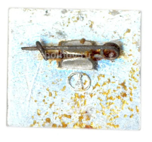 Значок Владимир