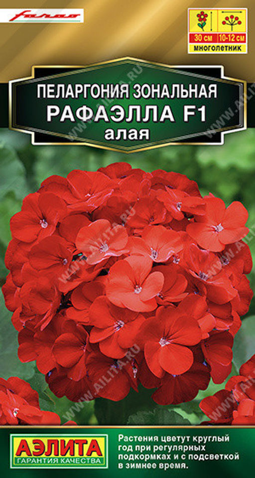 1660A Пеларгония Рафаэлла F1 алая 5шт