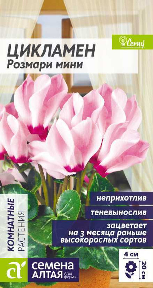 Цветы Цикламен Розмари мини/Сем Алт/цп 3 шт. НОВИНКА