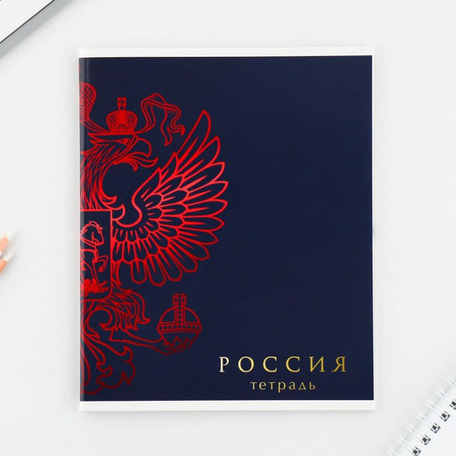 Тетрадь А5, 48 л на скрепке МИКС Шрифтовые яркие, обложка мелованный картон 230 гр., внутренний блок №1, в клетку 80 гр., белизна 96% - Artfox study фото 22