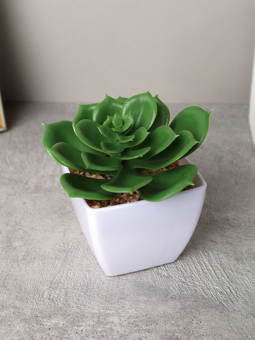 Цветочная композиция Кактус 8-12 см / KL-06 /уп 12/288/ - ГалеонТрейд фото 6