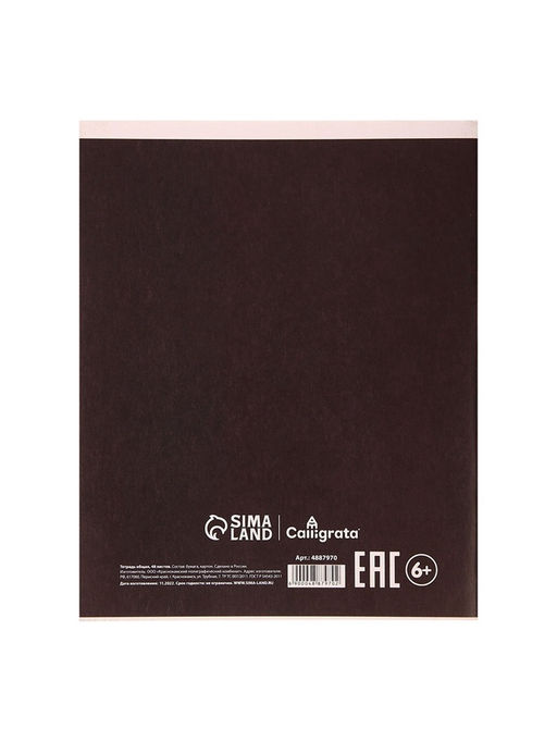 Тетрадь предметная СуперНеон, 48 листов в клетку География, обложка мелованный картон, блок офсет - Calligrata фото 10