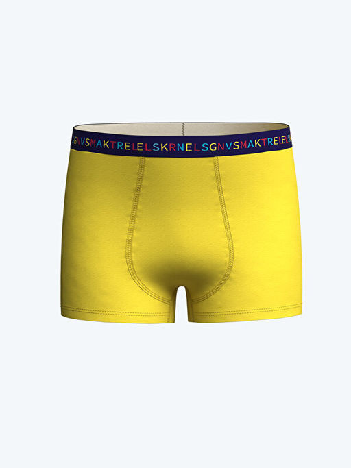 Bask?l? Erkek ?ocuk Boxer 3l? - Waikiki фото 3