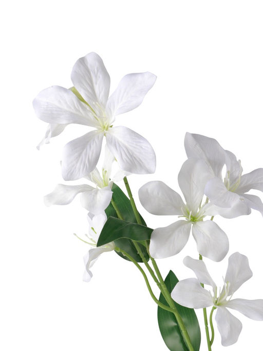 Цветы искусственные «Баухиния пёстрая», d=13 см, h=71 см, белые