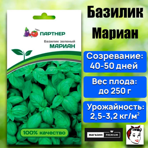 Базилик Мариан - Партнер фото 2