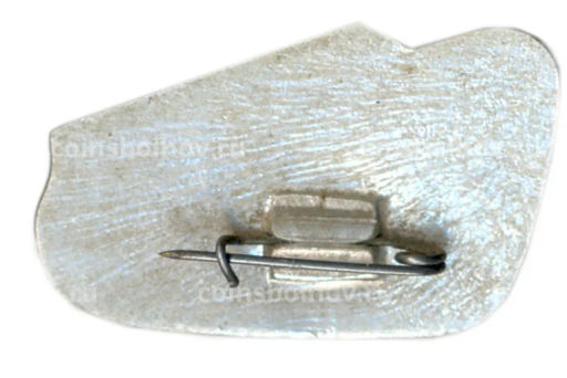 Значок Саратов