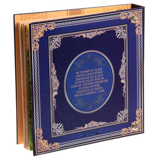 Родословная книга с рамкой под фото Родословная книга, 50 листов, 21.5 х 23.7 см - Семейные традиции фото 13