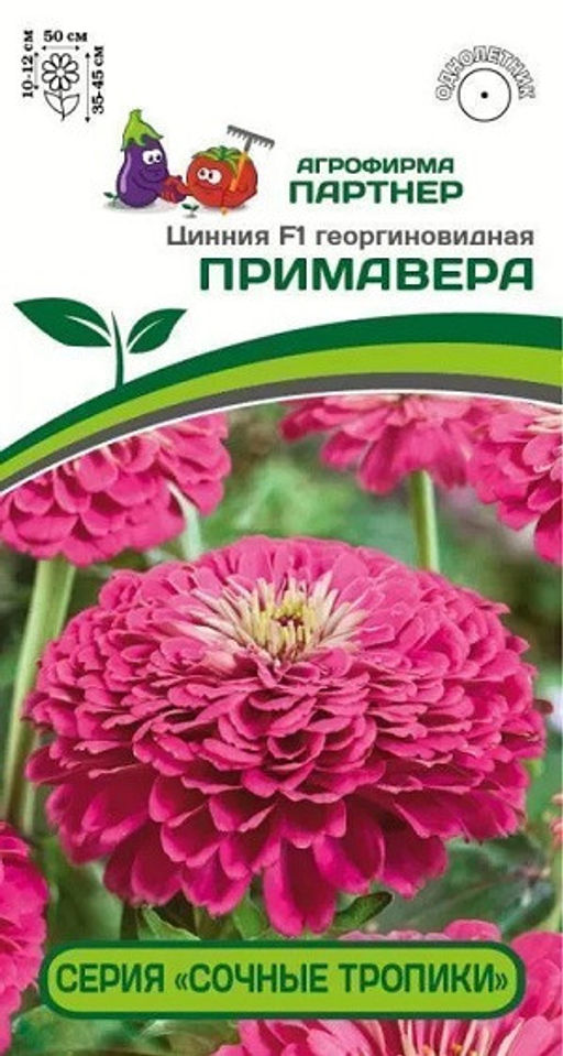 3375P Цинния F1 ПРИМАВЕРА / георгиновидная 4шт