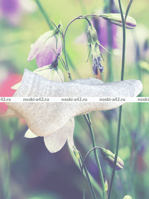 Цена за 10 пар. ЮстаТекс носки женские 2с15 СПОРТ ассорти 23-25 - Юста-текс фото 80