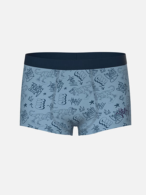 Bask?l? Erkek ?ocuk Boxer 3l? - Waikiki фото 2