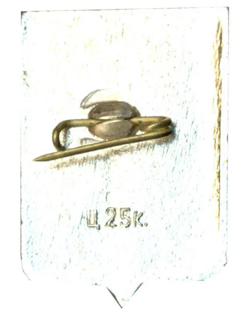 Значок Старая Русса