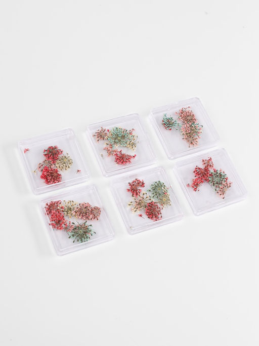 Сухоцветы для декора Яркость, в футляре, МИКС - Qf фото 3