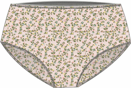 ТРУСЫ ЖЕНСКИЕ "MAXI SLIP" арт. 1900W-40744.2L-042