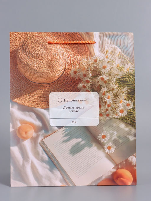 Пакет подарочный ламинированный «Лучшее время сейчас», 26×12×32 см