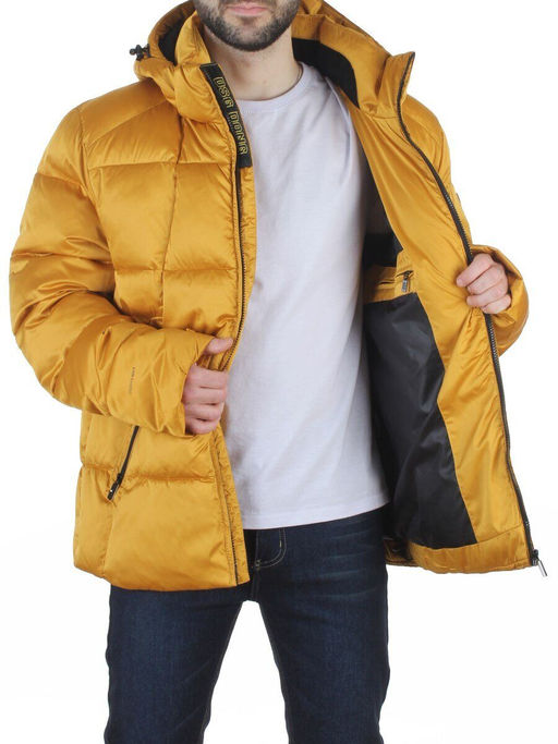 6266L GOLD Куртка зимняя мужская (био-пух)