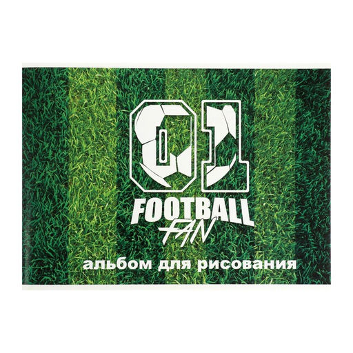 Альбом для рисования А4, 24 листа на скрепке Футбольное поле, обложка мелованный картон, блок 100 г/м
