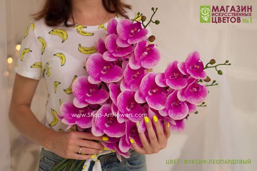 004 Орхидея фаленопсис "Жозель" (9 цветков)