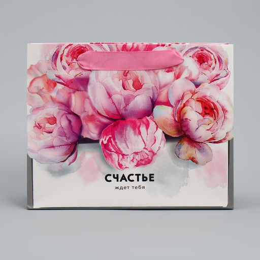 Цена за 2 шт. Пакет подарочный ламинированный, упаковка, Счастье ждёт тебя 22?17.5?8 см