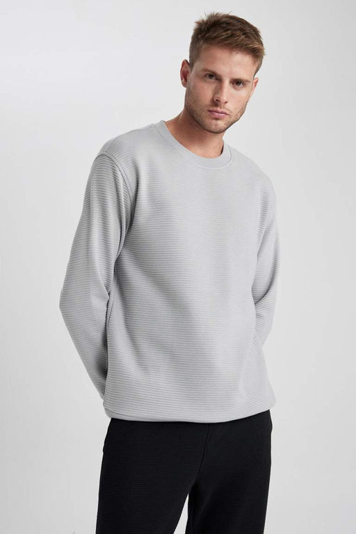 Базовая толстовка Comfort Fit - Defacto фото 7